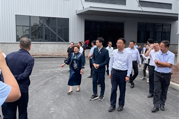 ��ί����Ű�������ί�������쵼һ�е�����˾Ͷ�����