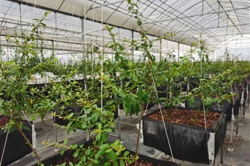 ȫ���׿�������͸���������